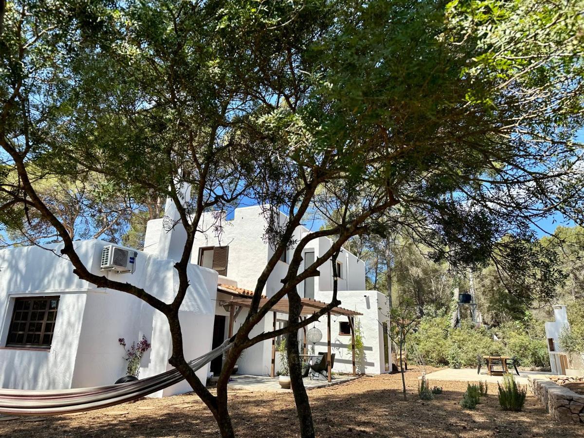 Spacious & Luxury Villa In Ibiza - Santa Gertrudis - Villa Chiquita Santa Gertrudis (Ibiza) Exterior foto